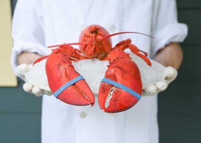 Lobster with banded claws presented on a plate of ice